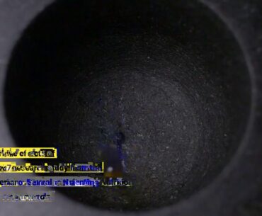 3 Easy Facts About Vitamin D to Lose Weight, Does it Really Work? - The Diet Pal Explained