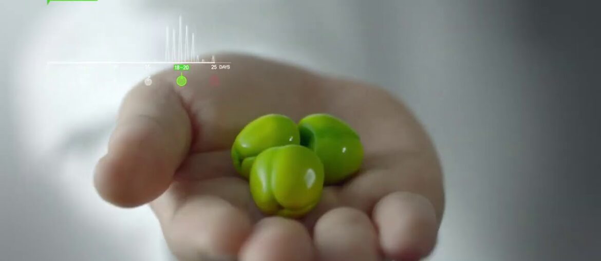 Vitamin C made by Natural Source.