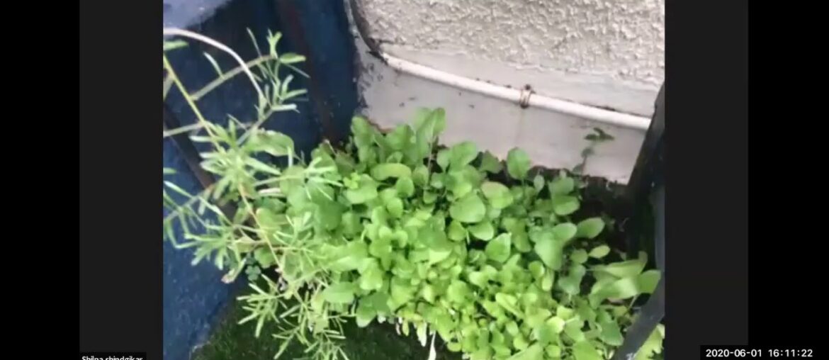 VItaMIN Video Series 21