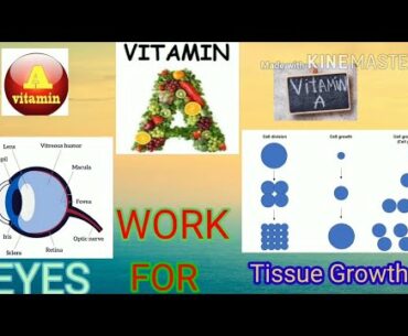 Ep.(5)PART=2 What's a Function Of vitamin A For Eyes and Tissues Growth