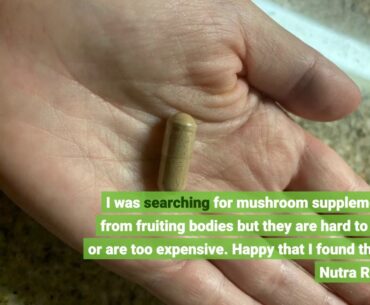 Mushroom Supplement Immunity Energy Booster, 10X - 90 Capsules, Brain Supplements, 10 Organic M...