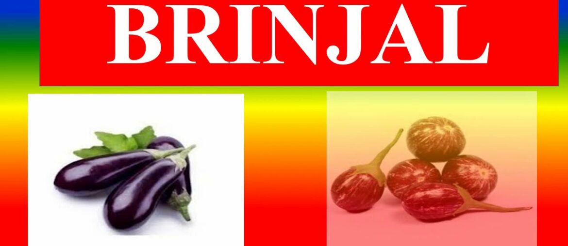 BRINJAL / EGGPLANT  - HEALTH BENEFITS AND NUTRITION FACTS