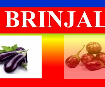 BRINJAL / EGGPLANT  - HEALTH BENEFITS AND NUTRITION FACTS