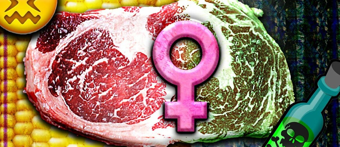 Carnivore Concerns: Downsides of the Carnivore Diet