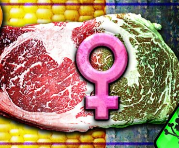 Carnivore Concerns: Downsides of the Carnivore Diet