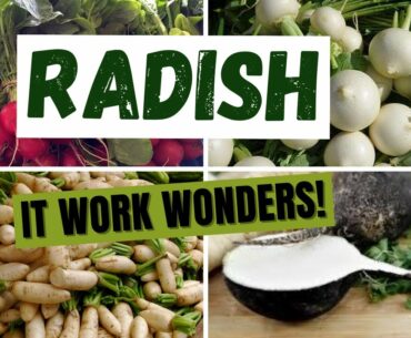 What You Didn't Know About Radish