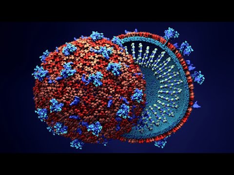 “Mid-Post  CoronaVirus preparation”