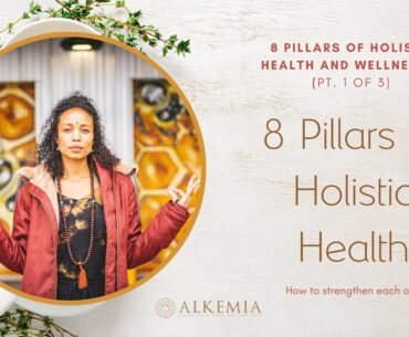 The 8 pillars of Holistic Health and Wellness
