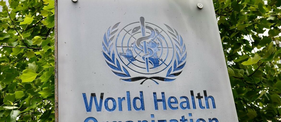 LIVE: World Health Organization holds briefing on coronavirus pandemic