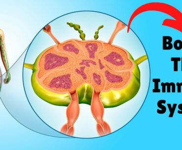 15 Foods That Boost The Immune System l Immune system boosters