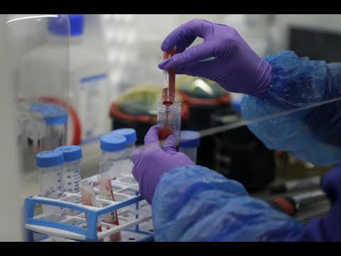 Coronavirus immunity may only last a few months