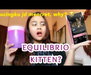 Equilibrio Kitten, Ini yang bikin masalah di kucing gue !