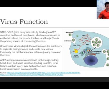 Understanding Coronavirus Part 2 - Immune Response