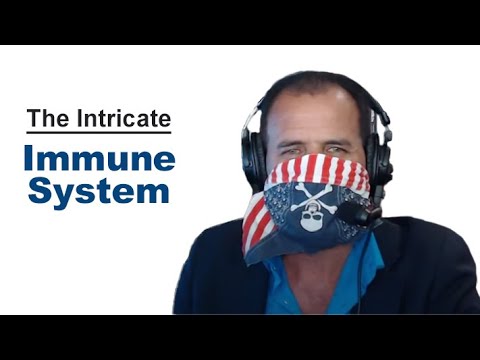 The Intricate & Powerful Immune System - Your Best Defense Against COVID-19