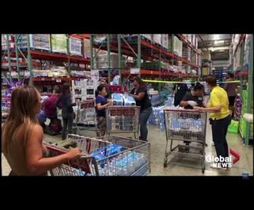 TREELOCK- IMMUNE TO COMPROMISE (COVID BARS)