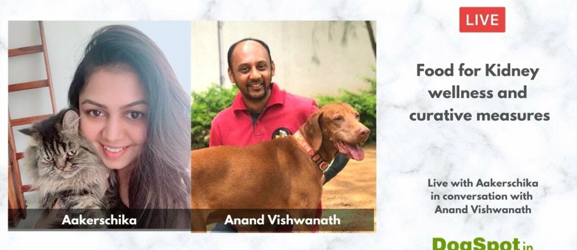 Dog Food for Kidney Wellness and Curative Measures with Aakerschika