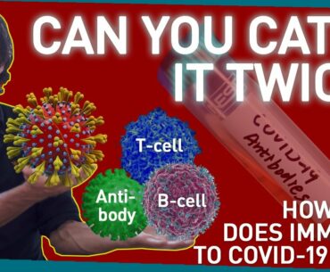 Can You Catch COVID-19 Twice? How Long Does Immunity Last?