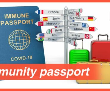 What is an immunity passport?