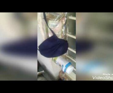 Covid 19 best food for great immunity