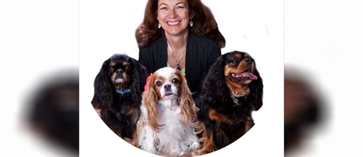 Yin & Yang Nutrition for Dogs: Maximizing Health with Whole Foods, Not Drugs