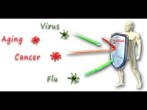 DETOX AND BOOST YOUR IMMUNE SYSTEM WITH THIS SIMPLE TEA | SOUTH AFRICAN YouTuber