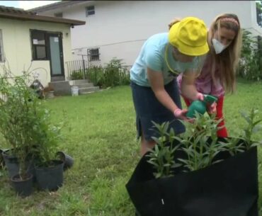 Autism and COVID-19: How to talk to your children about the pandemic