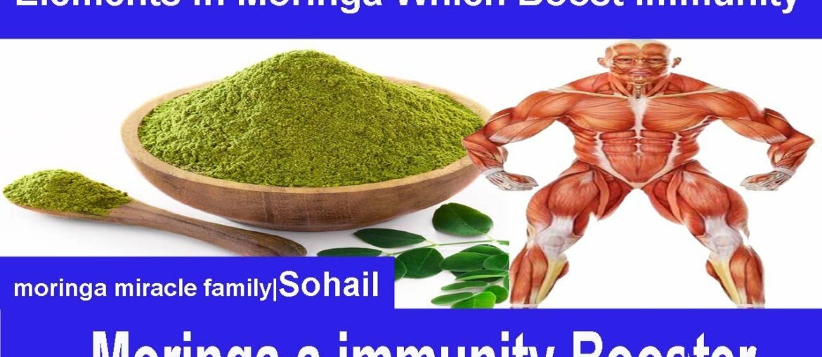 How moringa boost immunity|Moringa naturally immunity booster|Immunity booster food ,vitamins,minral