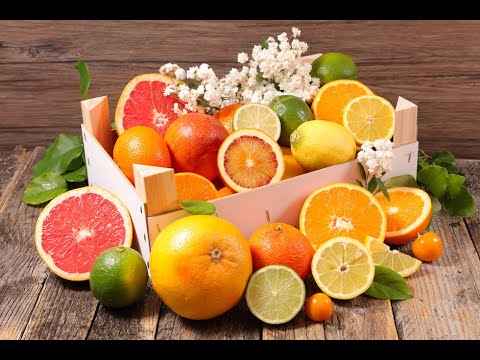 Oils and Supplements for WELLNESS