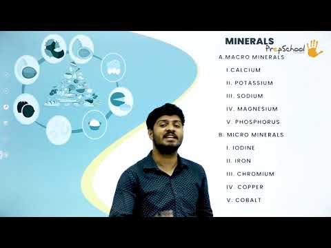 DAY 17 | PHYSICAL EDUCATION | CBSE XII | SPORTS AND NUTRITION | L1