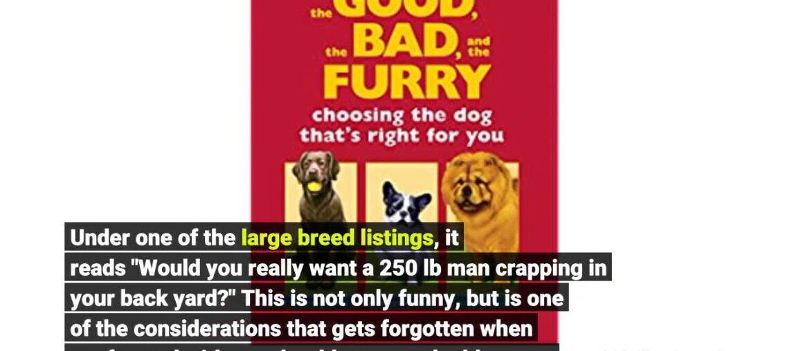 The Good, the Bad, and the Furry: Choosing the Dog That's Right for You