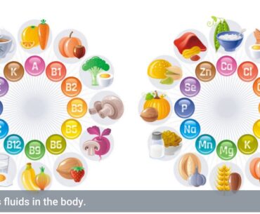 About Vitamins and minerals - Food and nutrition - NHS inform