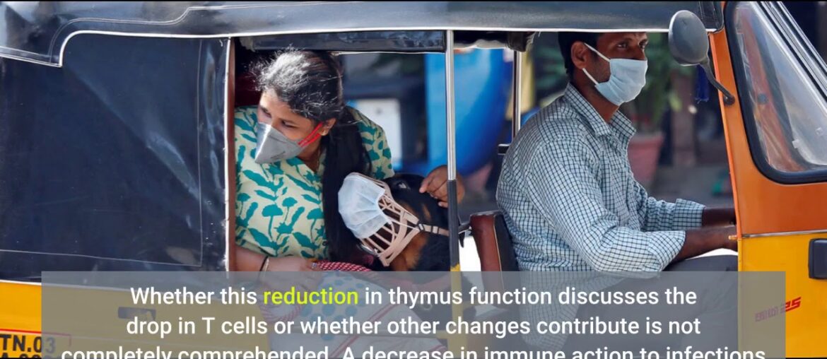 Getting My How to boost your immune system during the COVID-19 To Work