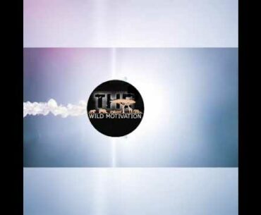 How to focus on right things in life for success and money ?