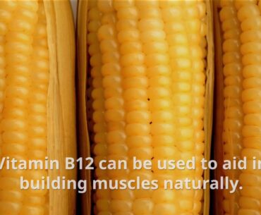 Check Out The Amazing Health Benefits Of Cobalamin vitamin 12 For Bodybuilders
