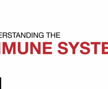 Understanding the Immune system | COVID-19