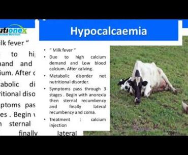 Organic Minerals and vitamins (Best Nutrition Company) in India