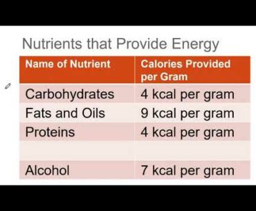 1-The Role of Nutrition in Our Health (Video-1)
