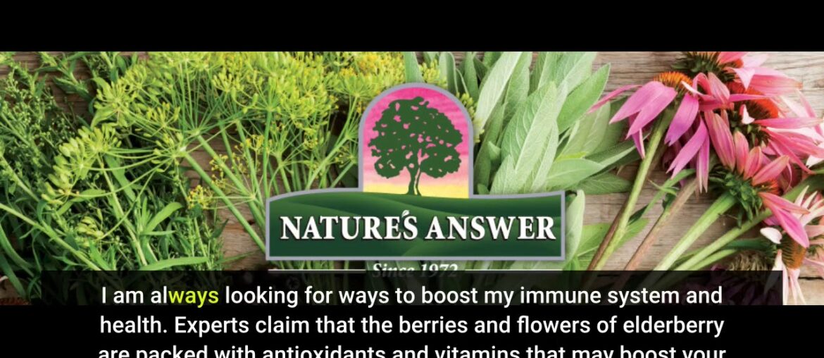 Schiff Elderberry Extract & Vitamin C Chewable Tablets, (60 count in a bottle), Vegetarian, Non...