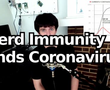 Herd Immunity Ends Coronavirus