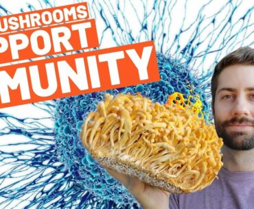 Mushrooms to the rescue! How mushrooms support your immune system (one special molecule)