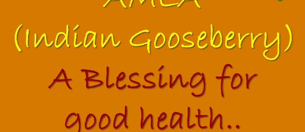 Amla - An amazing Blessing for Good Health, Immunity, Vitamin C, healthy Skin and Hair growth