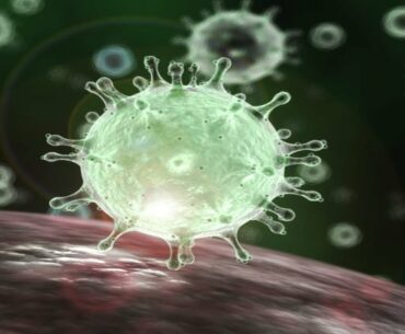 IF YOU'VE EVER HAD A COLD Your Immune System May Already Know How To Fight COVID-19