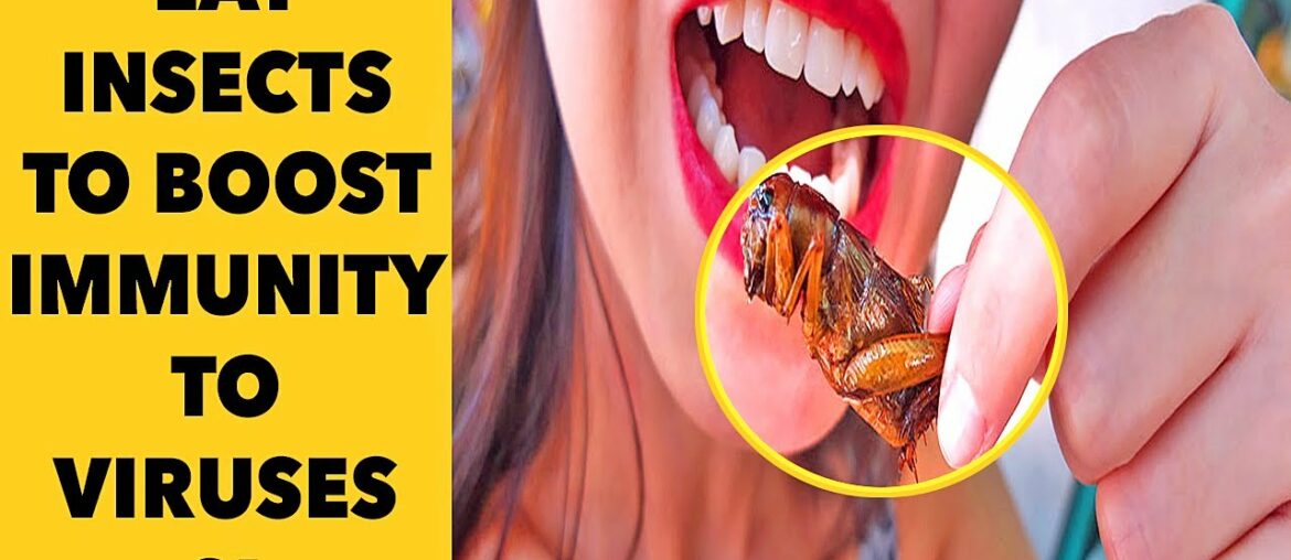 5 HEALTHY FOODS TO BOOST YOUR IMMUNITY AGAINST VIRUSES AND BACTERIAL INFECTIONS! | ORGANIC BLESSINGS