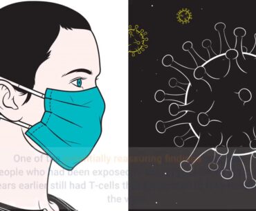 Beyond antibodies, the immune response to coronavirus is complicated