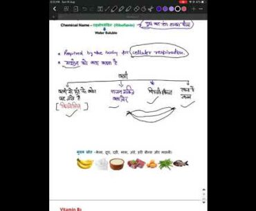 Vitamins complete information