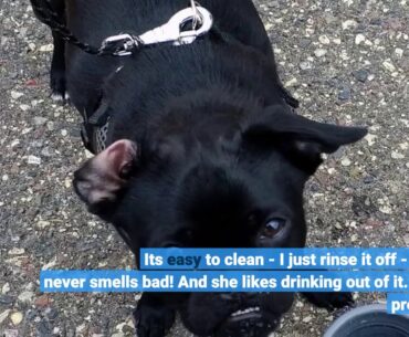 Prima Pets Collapsible Silicone Food & Water Travel Bowl with Clip for Dog and Cat, Small (1.5...