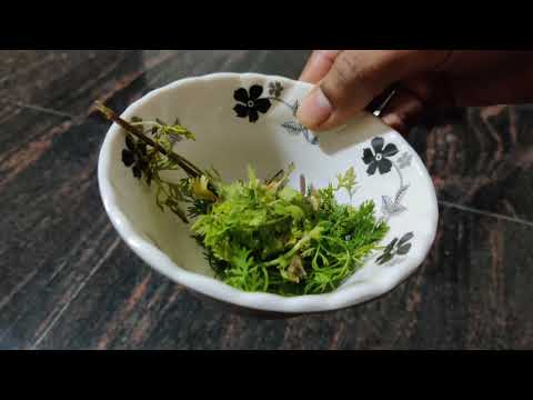 immunity boosting soup