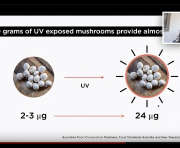 Webinar: When is comes to Vitamin D, two sources are best