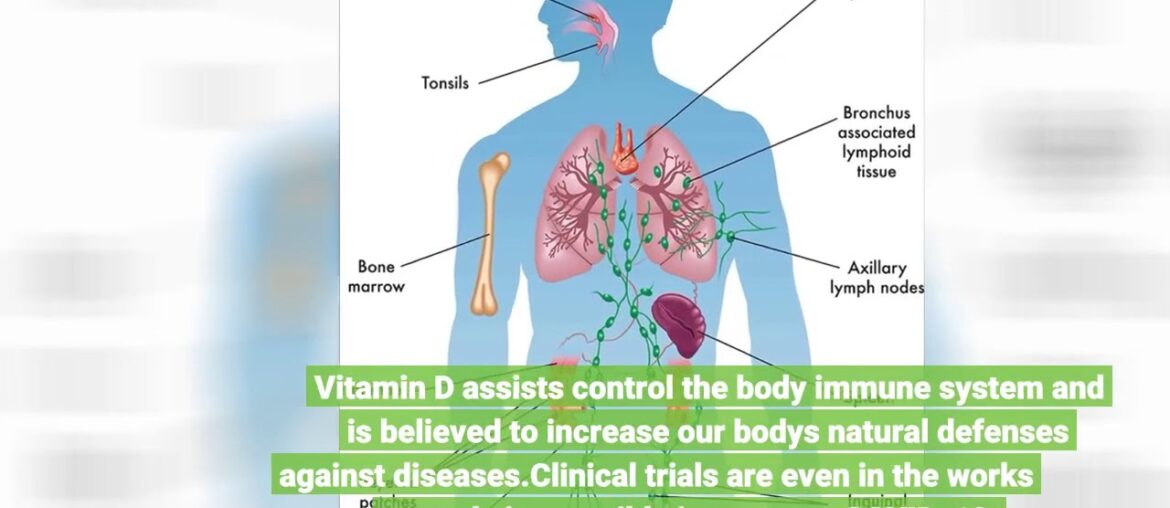 5 Ways to Fortify Your Immune System - Health and Wellness Fundamentals Explained