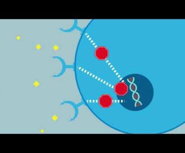 Micronutrients to fight the Coronavirus Pandemic